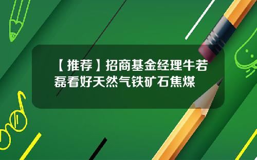 【推荐】招商基金经理牛若磊看好天然气铁矿石焦煤