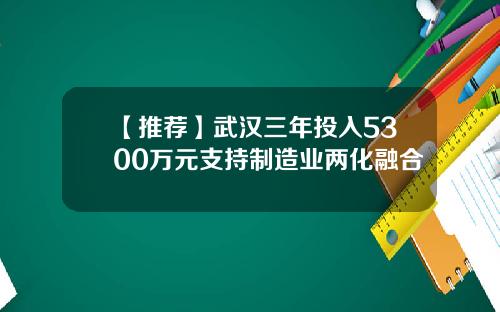 【推荐】武汉三年投入5300万元支持制造业两化融合