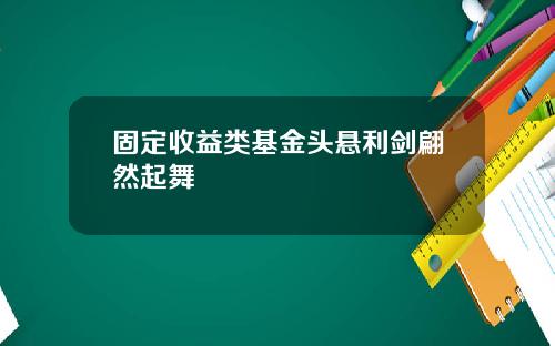 固定收益类基金头悬利剑翩然起舞