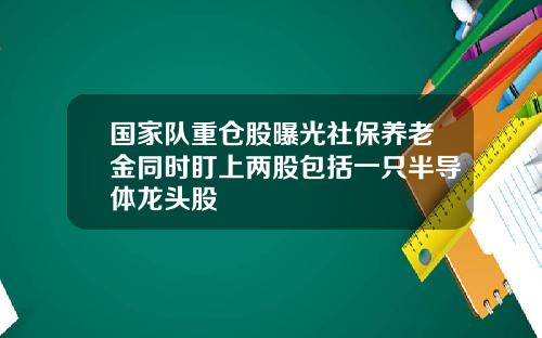 国家队重仓股曝光社保养老金同时盯上两股包括一只半导体龙头股