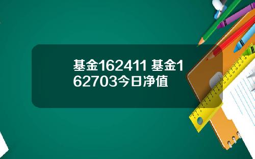 基金162411 基金162703今日净值