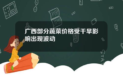 广西部分蔬菜价格受干旱影响出现波动