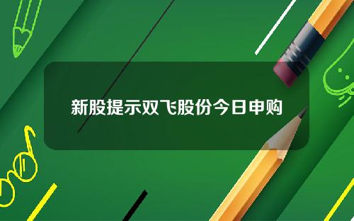 新股提示双飞股份今日申购