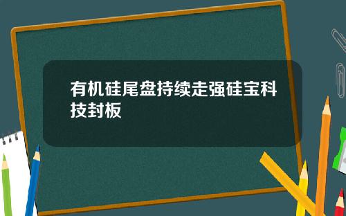 有机硅尾盘持续走强硅宝科技封板