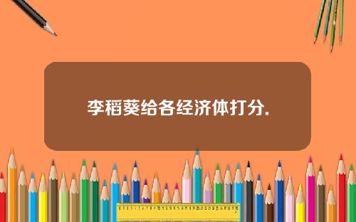 李稻葵给各经济体打分.