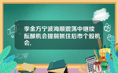 李金方宁波海顺震荡中继续酝酿机会提前抓住后市个股机会.