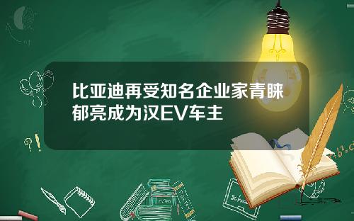 比亚迪再受知名企业家青睐郁亮成为汉EV车主