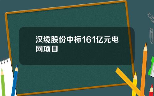 汉缆股份中标161亿元电网项目