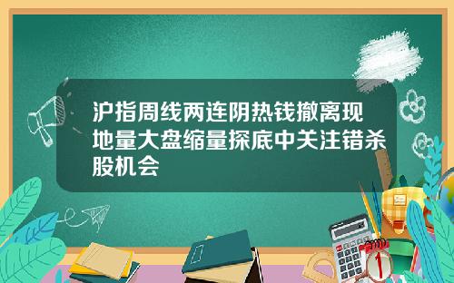 沪指周线两连阴热钱撤离现地量大盘缩量探底中关注错杀股机会