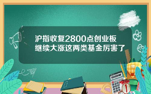 沪指收复2800点创业板继续大涨这两类基金厉害了