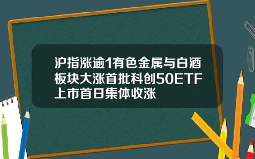 沪指涨逾1有色金属与白酒板块大涨首批科创50ETF上市首日集体收涨