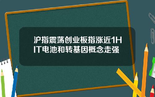 沪指震荡创业板指涨近1HIT电池和转基因概念走强