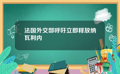 法国外交部呼吁立即释放纳瓦利内