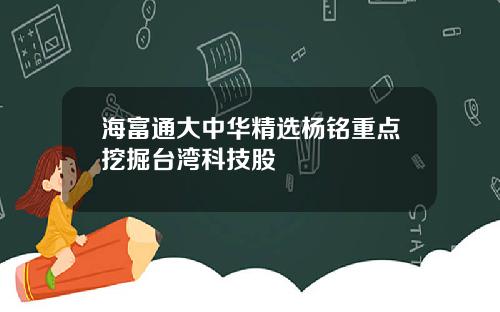 海富通大中华精选杨铭重点挖掘台湾科技股