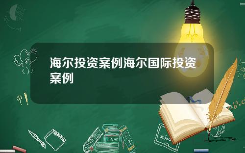 海尔投资案例海尔国际投资案例