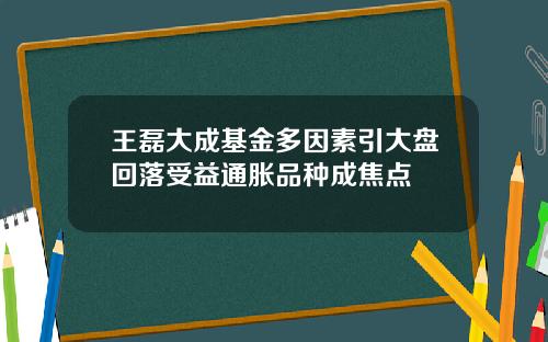 王磊大成基金多因素引大盘回落受益通胀品种成焦点