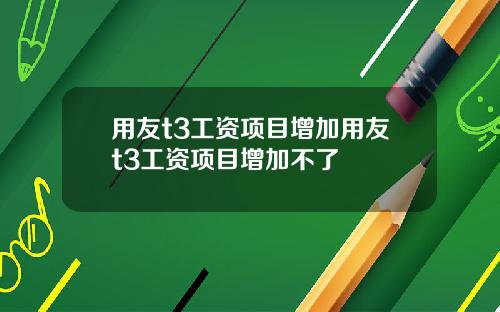 用友t3工资项目增加用友t3工资项目增加不了