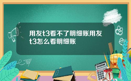 用友t3看不了明细账用友t3怎么看明细账