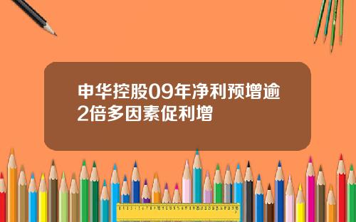 申华控股09年净利预增逾2倍多因素促利增