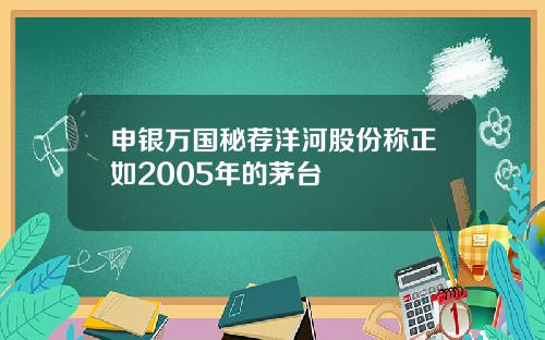 申银万国秘荐洋河股份称正如2005年的茅台