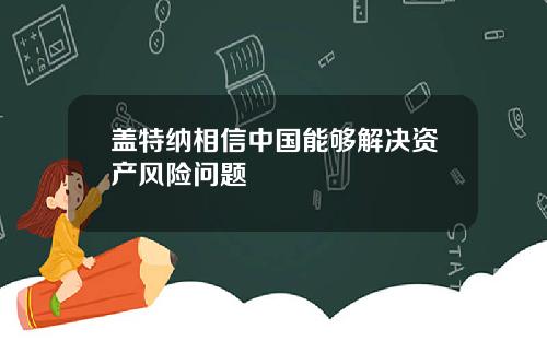 盖特纳相信中国能够解决资产风险问题