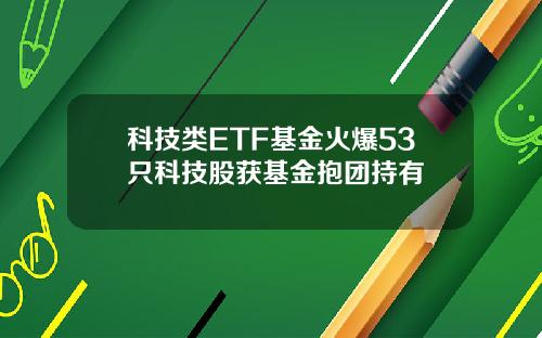 科技类ETF基金火爆53只科技股获基金抱团持有