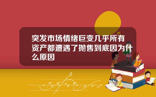 突发市场情绪巨变几乎所有资产都遭遇了抛售到底因为什么原因