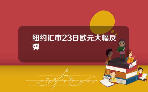 纽约汇市23日欧元大幅反弹