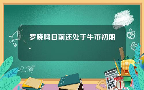 罗晓鸣目前还处于牛市初期.