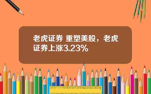 老虎证券 重塑美股，老虎证券上涨3.23%