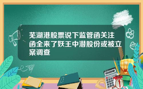 芜湖港股票说下监管函关注函全来了妖王中潜股份或被立案调查