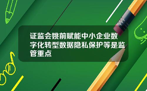 证监会姚前赋能中小企业数字化转型数据隐私保护等是监管重点