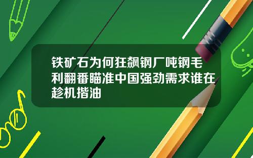 铁矿石为何狂飙钢厂吨钢毛利翻番瞄准中国强劲需求谁在趁机揩油