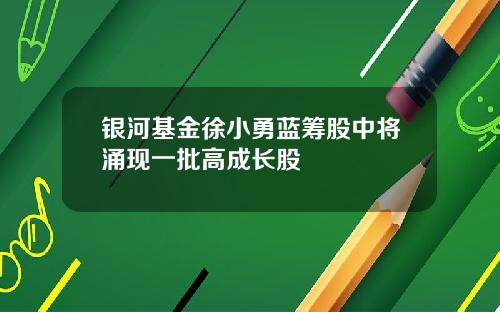 银河基金徐小勇蓝筹股中将涌现一批高成长股