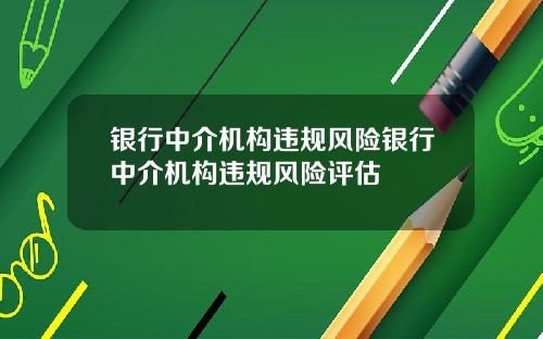 银行中介机构违规风险银行中介机构违规风险评估