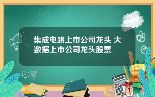 集成电路上市公司龙头 大数据上市公司龙头股票