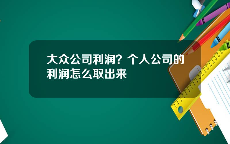 大众公司利润？个人公司的利润怎么取出来