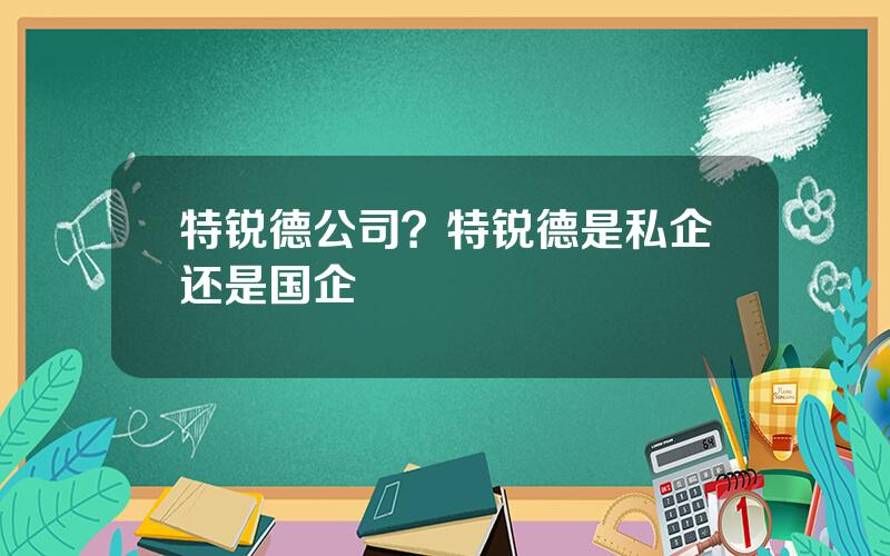 特锐德公司？特锐德是私企还是国企