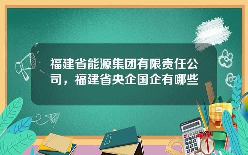 福建省能源集团有限责任公司，福建省央企国企有哪些