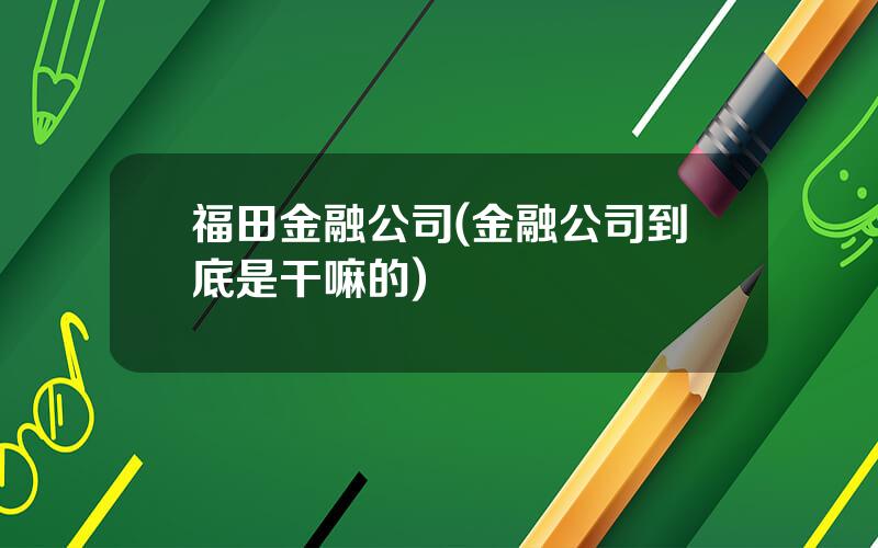 福田金融公司(金融公司到底是干嘛的)