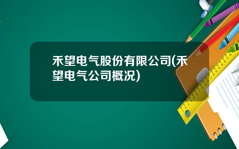 禾望电气股份有限公司(禾望电气公司概况)