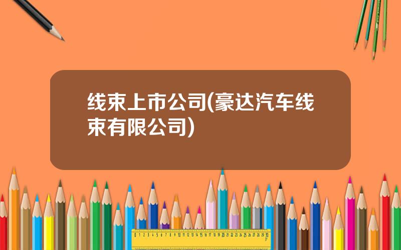 线束上市公司(豪达汽车线束有限公司)