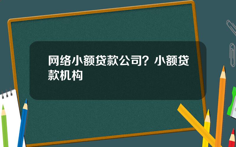 网络小额贷款公司？小额贷款机构