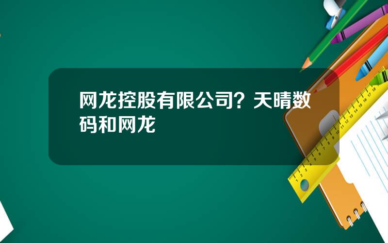 网龙控股有限公司？天晴数码和网龙