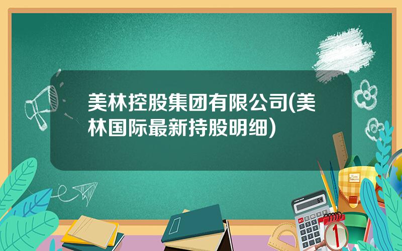 美林控股集团有限公司(美林国际最新持股明细)