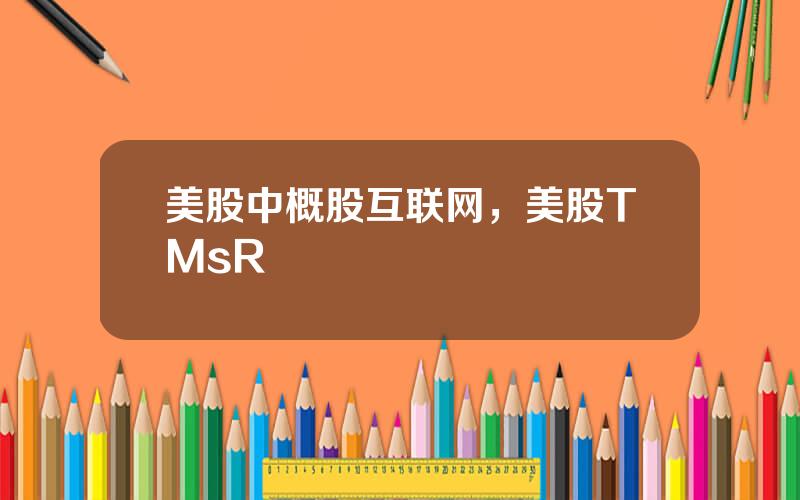 美股中概股互联网，美股TMsR