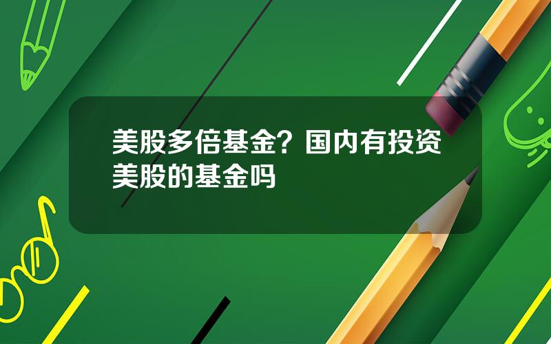 美股多倍基金？国内有投资美股的基金吗