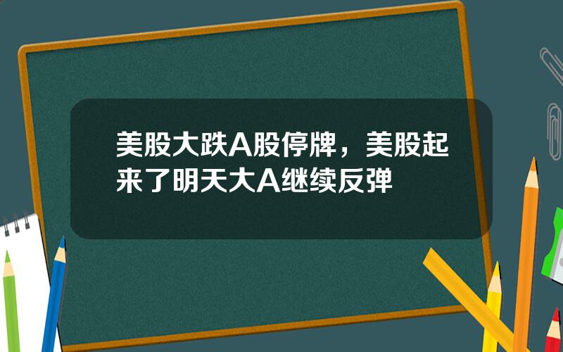 美股大跌A股停牌，美股起来了明天大A继续反弹