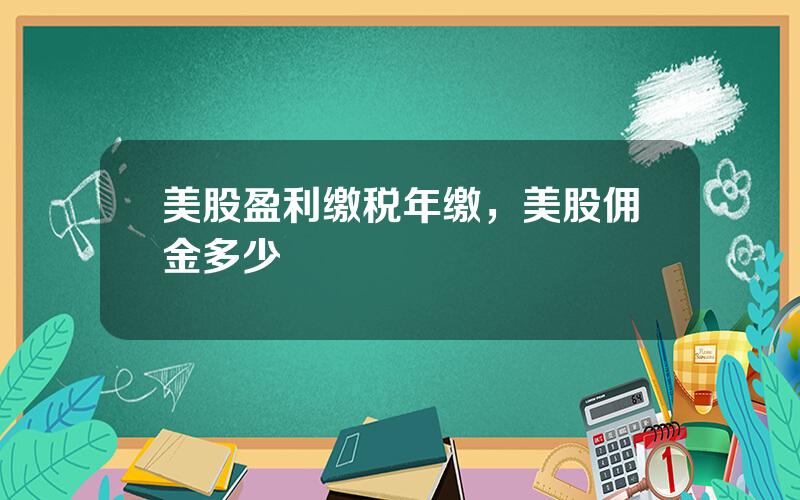 美股盈利缴税年缴，美股佣金多少