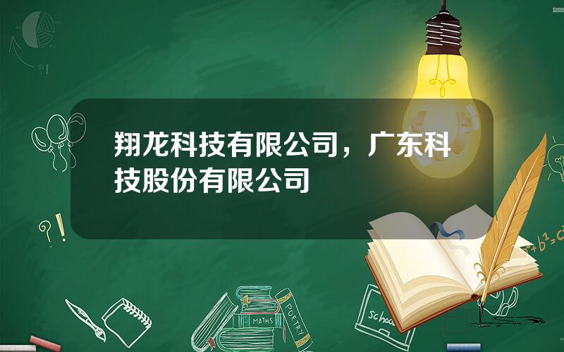 翔龙科技有限公司，广东科技股份有限公司